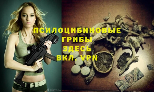 индика Кодинск