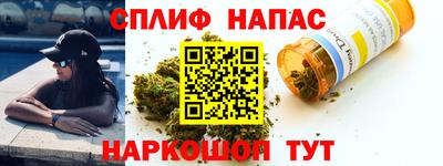 спайс Кинель