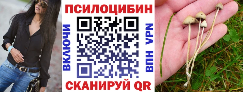 Псилоцибиновые грибы Magic Shrooms  закладки  Сочи 